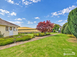 Front Garden- click for photo gallery